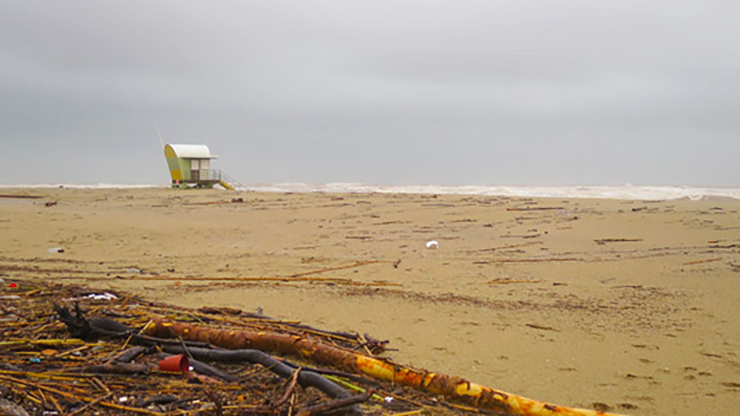 Photo d'une plage rempli de morceaux de bois après des intempéries