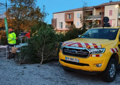 leucate pins alep1 - Mairie de Leucate