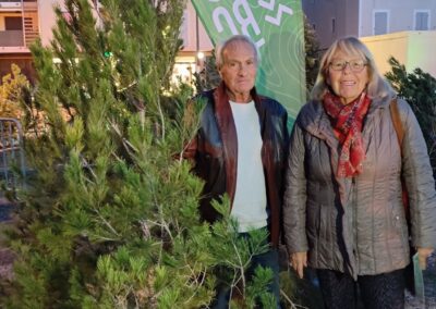 leucate pins alep4 - Mairie de Leucate