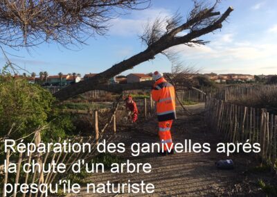 travaux quotidiens26 leucate 4 - Mairie de Leucate