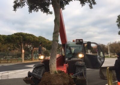 travaux quotidiens27 leucate 3 - Mairie de Leucate