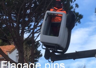 travaux quotidiens28 leucate 4 - Mairie de Leucate