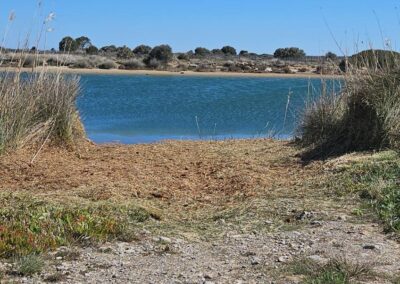 travaux quotidiens42 leucate2025 7 - Mairie de Leucate