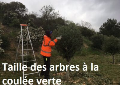 travaux quotidiens44 leucate2025 3 - Mairie de Leucate