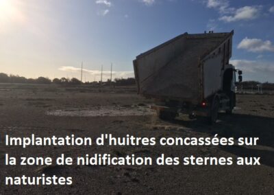 travaux quotidiens44 leucate2025 4 - Mairie de Leucate