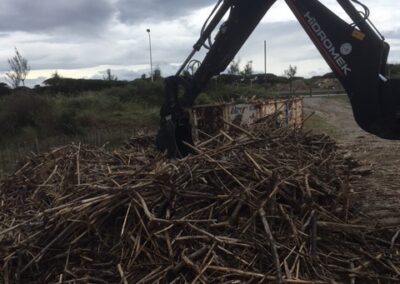 travaux quotidiens45 leucate2025 6 - Mairie de Leucate
