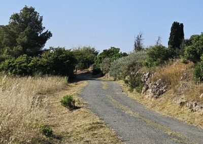 travaux quotidiens47 leucate2025 13 - Mairie de Leucate
