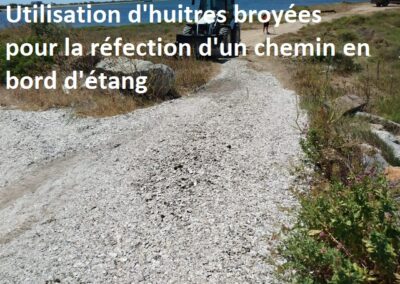 travaux quotidiens48 leucate2025 5 - Mairie de Leucate