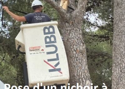 travaux quotidiens50 leucate2025 4 - Mairie de Leucate