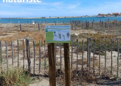 travaux quotidiens51 leucate2025 1 - Mairie de Leucate