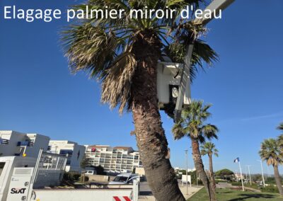 travaux quotidiens52 leucate2025 5 - Mairie de Leucate