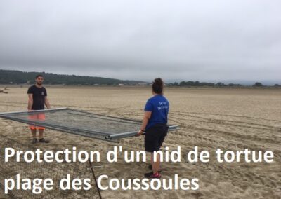 travaux quotidiens53 leucate2025 6 - Mairie de Leucate