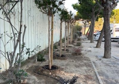 travaux quotidiens53 leucate2025 7 - Mairie de Leucate