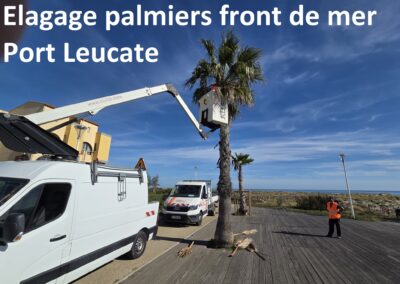 travaux quotidiens55 leucate2025 4 - Mairie de Leucate