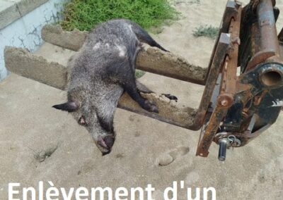 travaux quotidiens57 leucate2025 4 - Mairie de Leucate