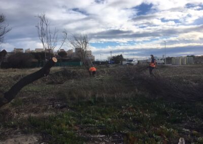 travaux quotidiens61 leucate2026 12 - Mairie de Leucate