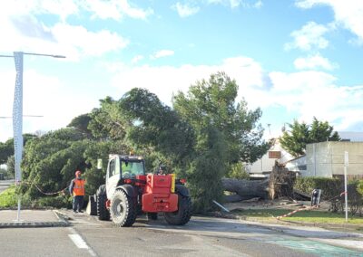 degats tempetes nils2026 leucate1 - Mairie de Leucate