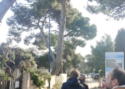 degats tempetes nils2026 leucate10 - Mairie de Leucate