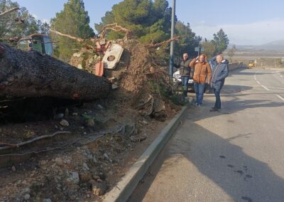 degats tempetes nils2026 leucate14 - Mairie de Leucate