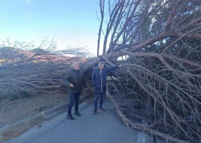 degats tempetes nils2026 leucate17 - Mairie de Leucate