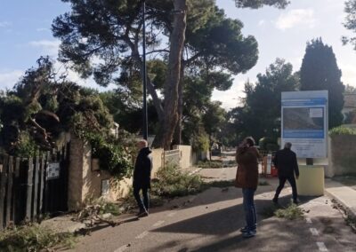 degats tempetes nils2026 leucate19 - Mairie de Leucate