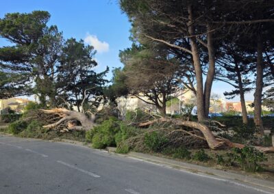 degats tempetes nils2026 leucate2 - Mairie de Leucate