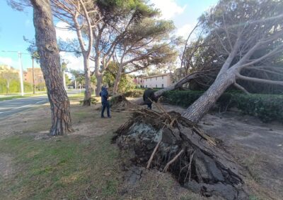 degats tempetes nils2026 leucate20 - Mairie de Leucate