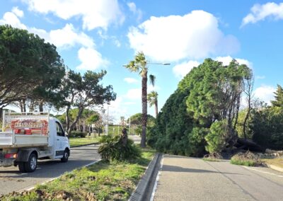 degats tempetes nils2026 leucate3 - Mairie de Leucate