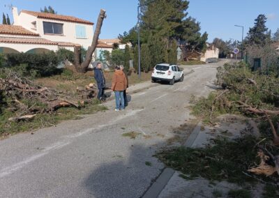 degats tempetes nils2026 leucate4 - Mairie de Leucate