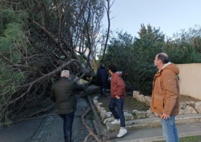 degats tempetes nils2026 leucate6 - Mairie de Leucate