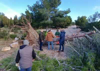 degats tempetes nils2026 leucate7 - Mairie de Leucate